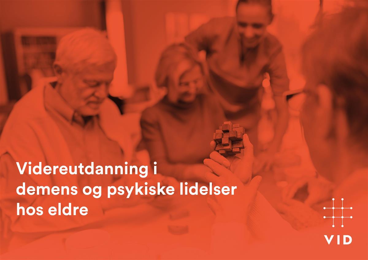 Videreutdanning I Demens Og Psykiske Lidelser Hos Eldre - Indre Østfold ...